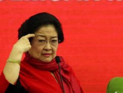 Megawati Ngotot Bela Hasto, Pernusa : Sayangnya Salah Jalur!