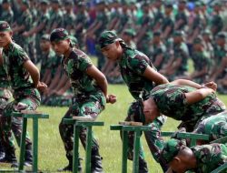 Tolak Penghapusan Pasal Larangan TNI Berbisnis, Koalisi Masyarakat Sipil : Menghapus Profesionalisme TNI